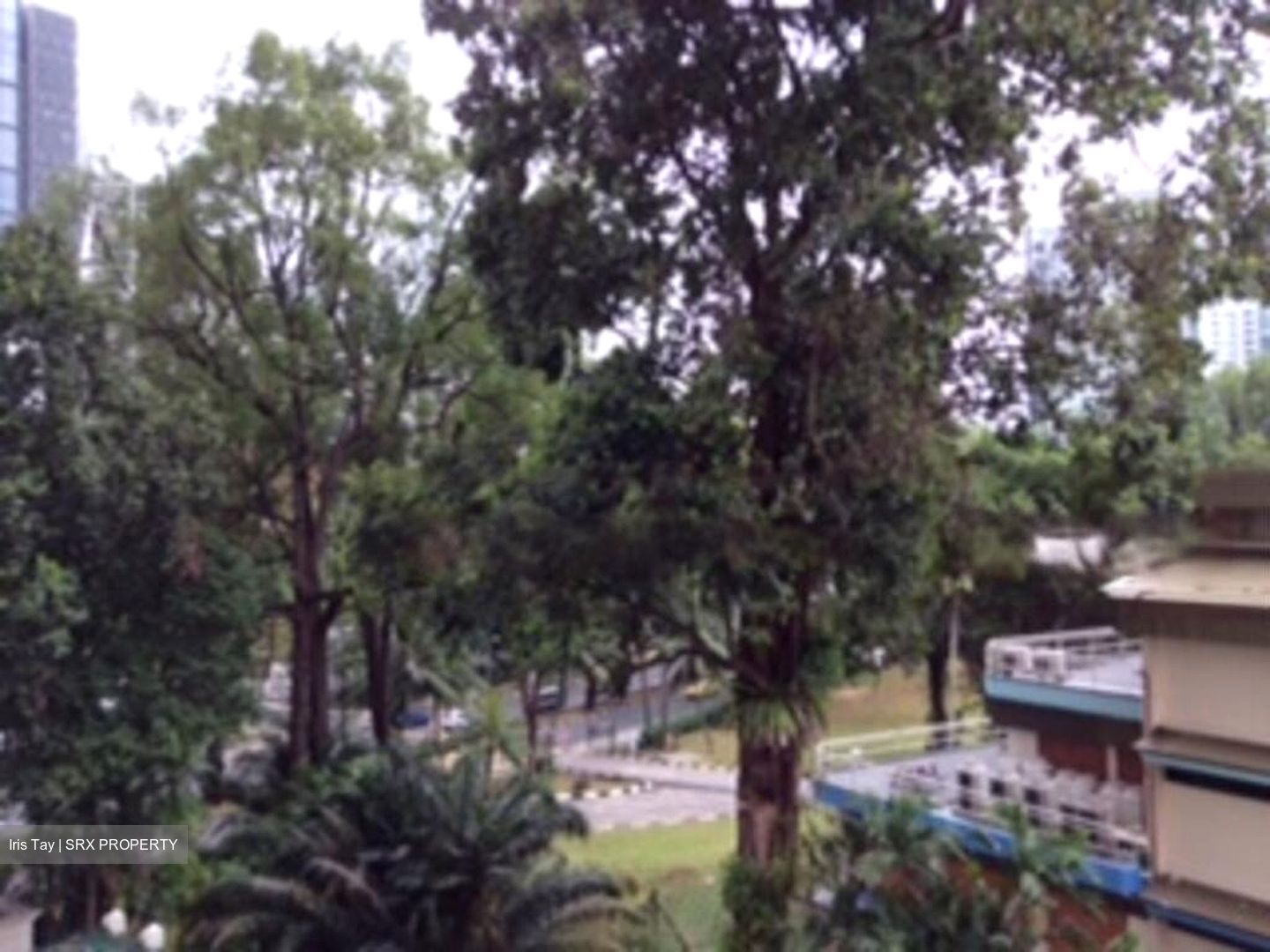Spring Grove (D10), Condominium #465652561